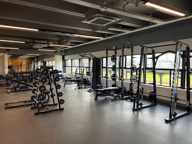 Sportschool Anytime Fitness Goes in Goes