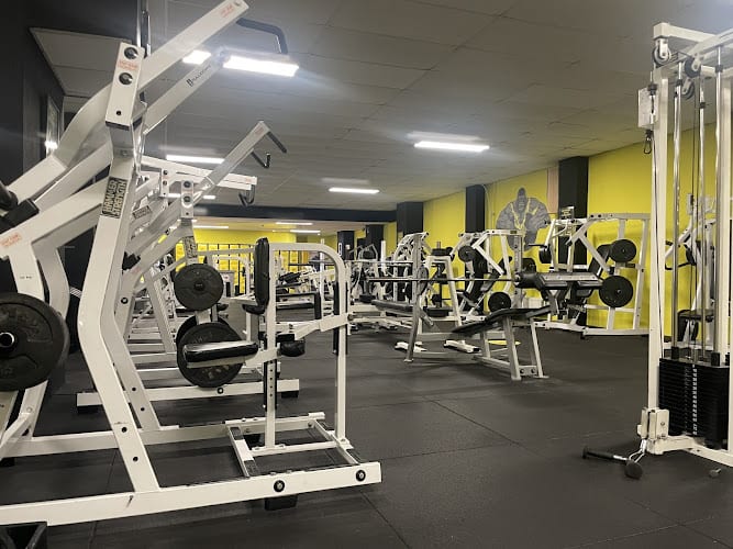 Sportschool Gorilla Gym in Vlissingen
