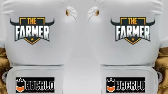 Sportschool Mitch Gym in Haler