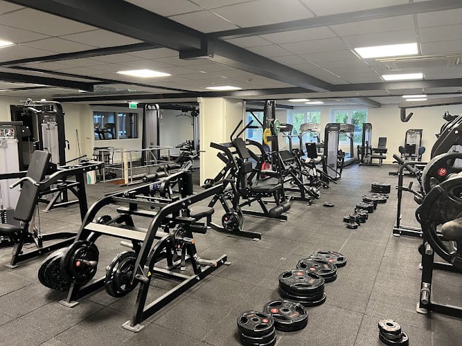 Sportschool Muscle-fit Boxing & Fitness in Eindhoven