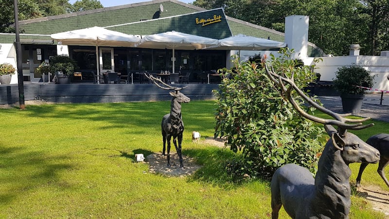 Sportschool Sport & Health Club de Schaapskooi in Venlo