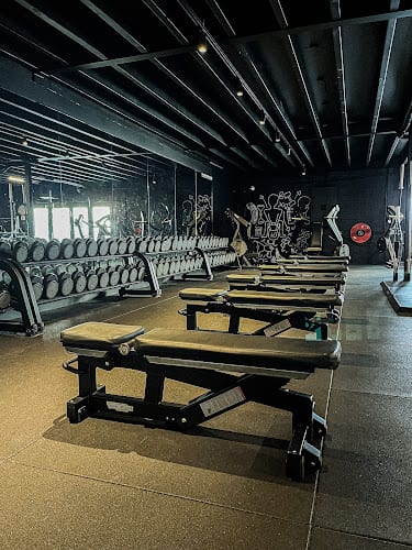 Sportschool The Real Gym Bilthoven in Bilthoven