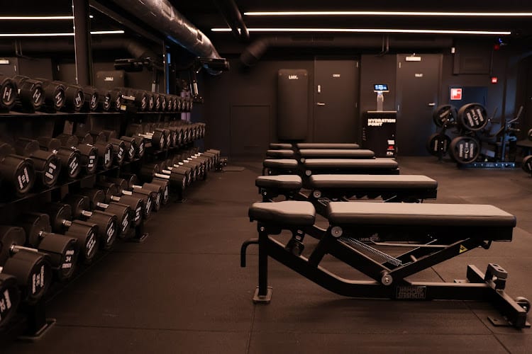 Sportschool TrainMore Rotterdam Wijnhaven in Rotterdam